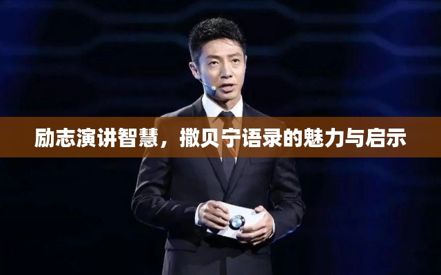 励志演讲智慧，撒贝宁语录的魅力与启示