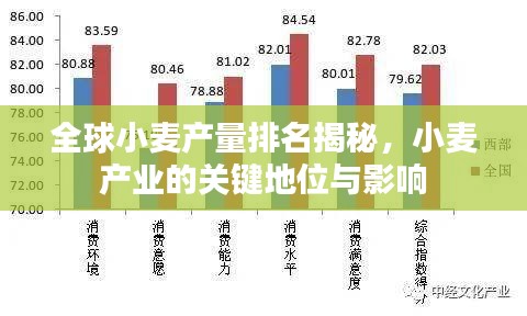 全球小麦产量排名揭秘，小麦产业的关键地位与影响