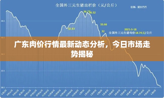 广东肉价行情最新动态分析，今日市场走势揭秘