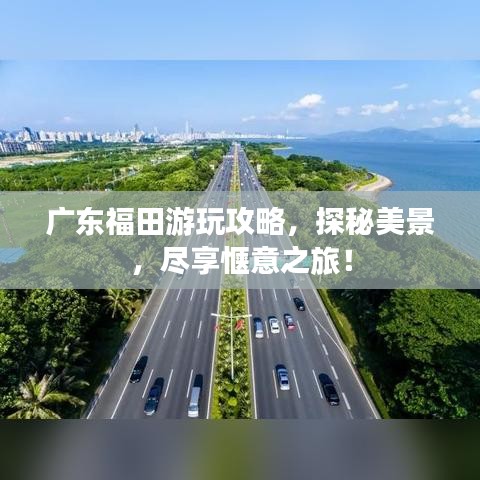 广东福田游玩攻略，探秘美景，尽享惬意之旅！