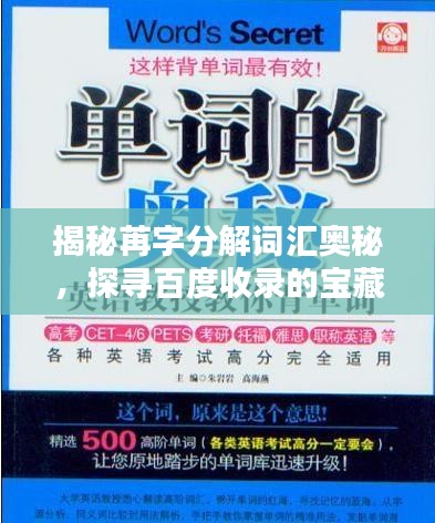 揭秘苒字分解词汇奥秘，探寻百度收录的宝藏标题