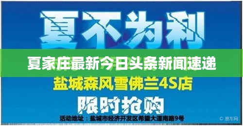 夏家庄最新今日头条新闻速递