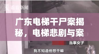 广东电梯干尸案揭秘，电梯悲剧与案件最新进展，引发社会震惊！