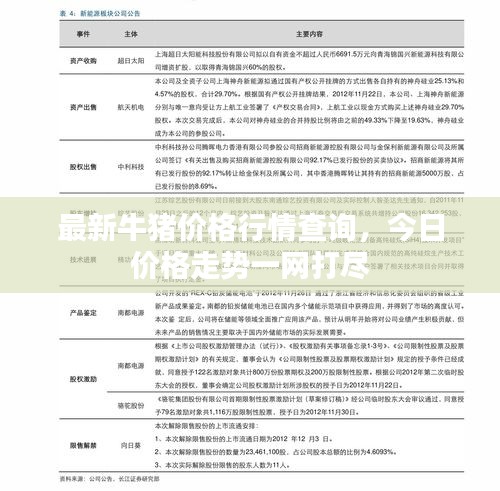 2025年1月29日 第15页