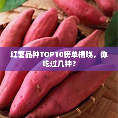 红薯品种TOP10榜单揭晓，你吃过几种？