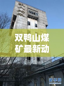 双鸭山煤矿最新动态，行业头条一网打尽