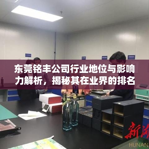 东莞铭丰公司行业地位与影响力解析，揭秘其在业界的排名与影响力