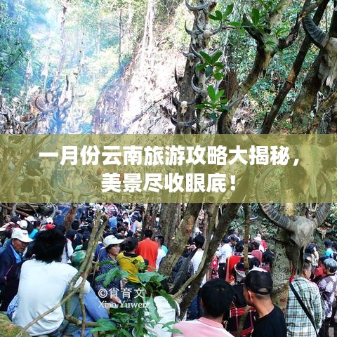 一月份云南旅游攻略大揭秘，美景尽收眼底！