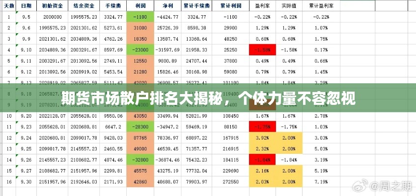 期货市场散户排名大揭秘，个体力量不容忽视