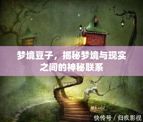 梦境豆子，揭秘梦境与现实之间的神秘联系