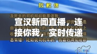 宣汉新闻直播，连接你我，实时传递最新资讯动态