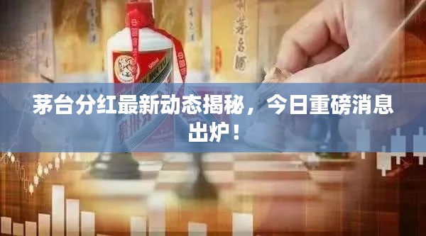 茅台分红最新动态揭秘，今日重磅消息出炉！