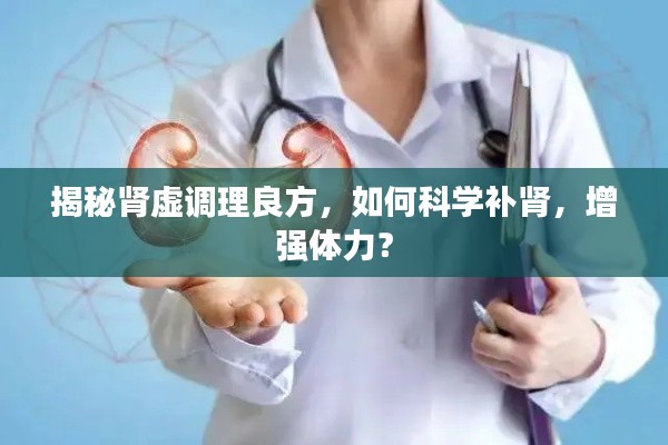 揭秘肾虚调理良方，如何科学补肾，增强体力？