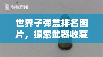 世界子弹盒排名图片，探索武器收藏品的独特魅力与力量展示