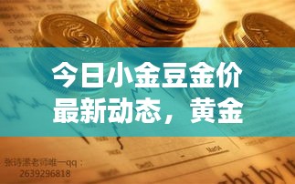 今日小金豆金价最新动态，黄金市场趋势解析