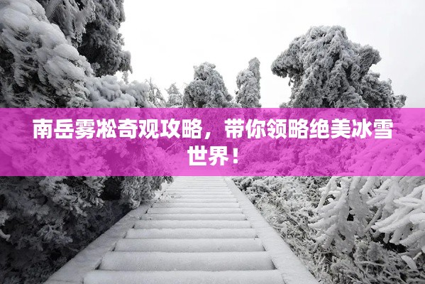 南岳雾凇奇观攻略，带你领略绝美冰雪世界！