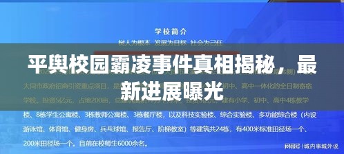 平舆校园霸凌事件真相揭秘，最新进展曝光