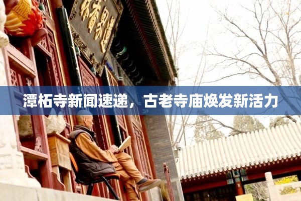 潭柘寺新闻速递，古老寺庙焕发新活力