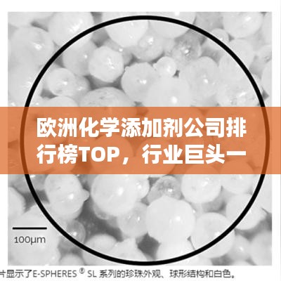 欧洲化学添加剂公司排行榜TOP，行业巨头一览