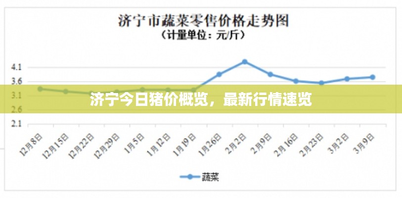 2025年2月5日 第19页