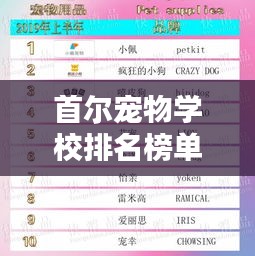 首尔宠物学校排名榜单揭晓，TOP 10最受欢迎宠物教育机构一览