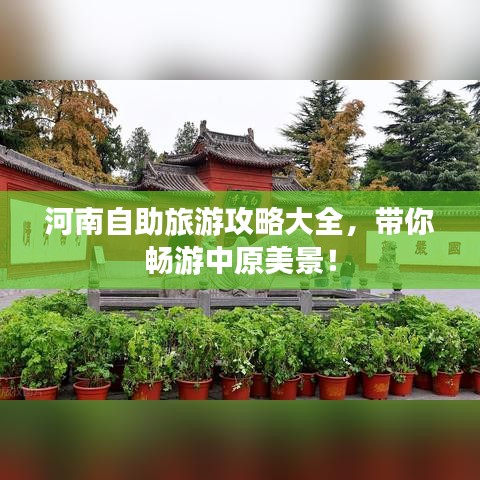 河南自助旅游攻略大全，带你畅游中原美景！