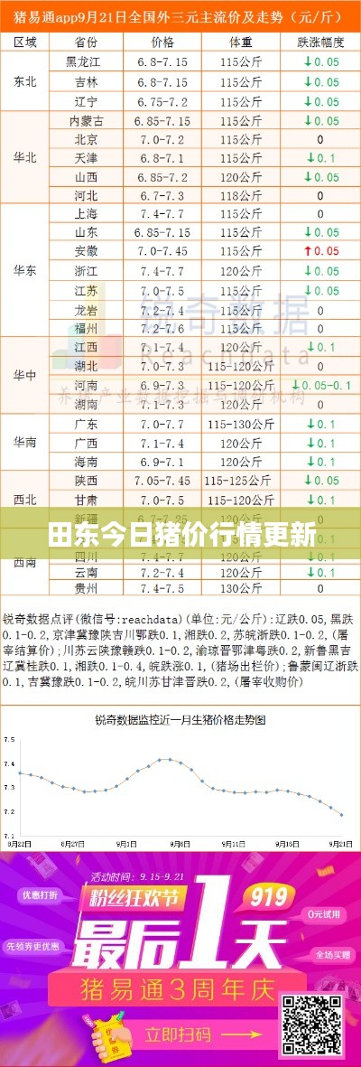 田东今日猪价行情更新