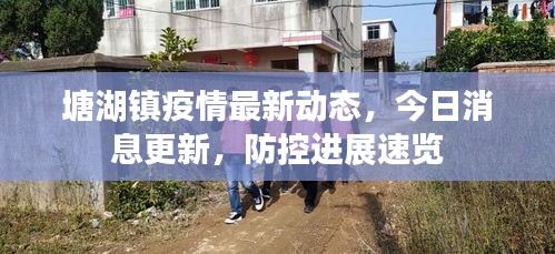 塘湖镇疫情最新动态，今日消息更新，防控进展速览