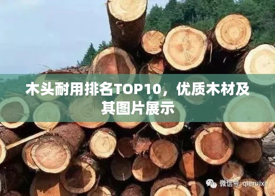 木头耐用排名TOP10，优质木材及其图片展示