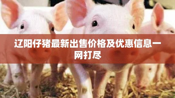 辽阳仔猪最新出售价格及优惠信息一网打尽