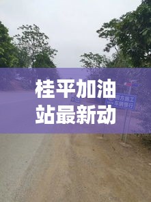 桂平加油站最新动态报道速递