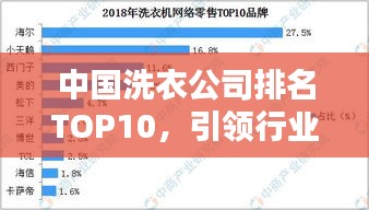 中国洗衣公司排名TOP10，引领行业潮流风向标