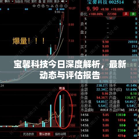 宝馨科技今日深度解析，最新动态与评估报告