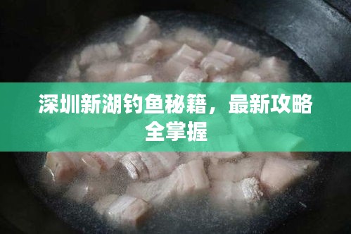 深圳新湖钓鱼秘籍，最新攻略全掌握