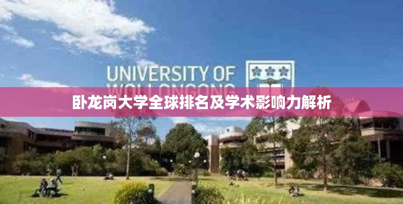 卧龙岗大学全球排名及学术影响力解析