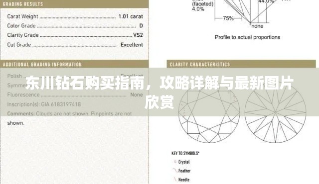 东川钻石购买指南，攻略详解与最新图片欣赏
