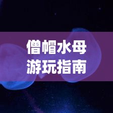 僧帽水母游玩指南，探索神秘海洋生物之旅