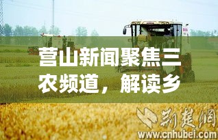 营山新闻聚焦三农频道，解读乡村发展新动向，引领乡村振兴之路