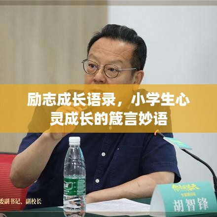 励志成长语录，小学生心灵成长的箴言妙语