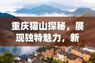 重庆猫山探秘，展现独特魅力，新闻头条带你领略山城风采