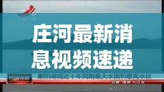 庄河最新消息视频速递，今日热点一览无余