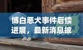 博白恶犬事件后续进展，最新消息披露