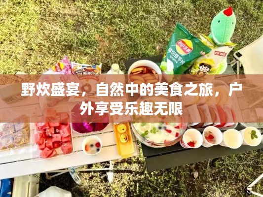 野炊盛宴，自然中的美食之旅，户外享受乐趣无限