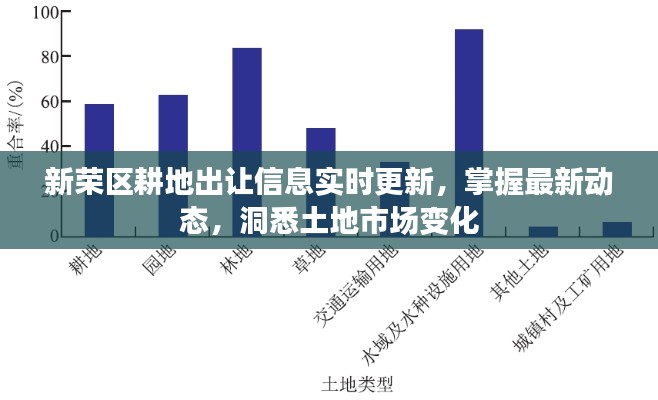 2025年2月16日 第10页