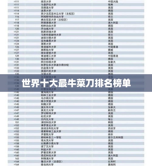 世界十大最牛菜刀排名榜单