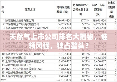 天然气上市公司排名大揭秘，谁领风骚，独占鳌头？