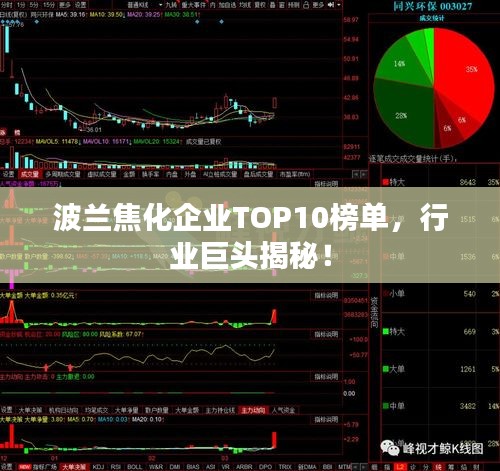 波兰焦化企业TOP10榜单，行业巨头揭秘！