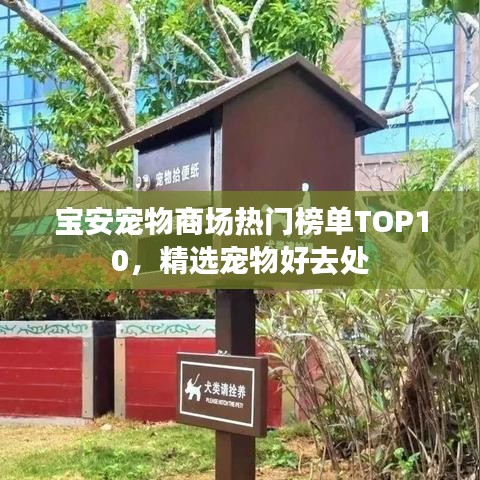 宝安宠物商场热门榜单TOP10，精选宠物好去处