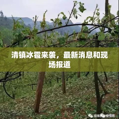 清镇冰雹来袭，最新消息和现场报道