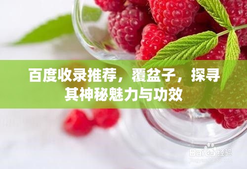 百度收录推荐，覆盆子，探寻其神秘魅力与功效